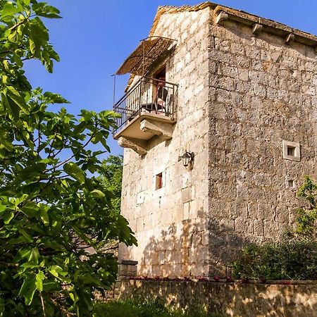 Old Small Stone House Zrnovo Extérieur photo