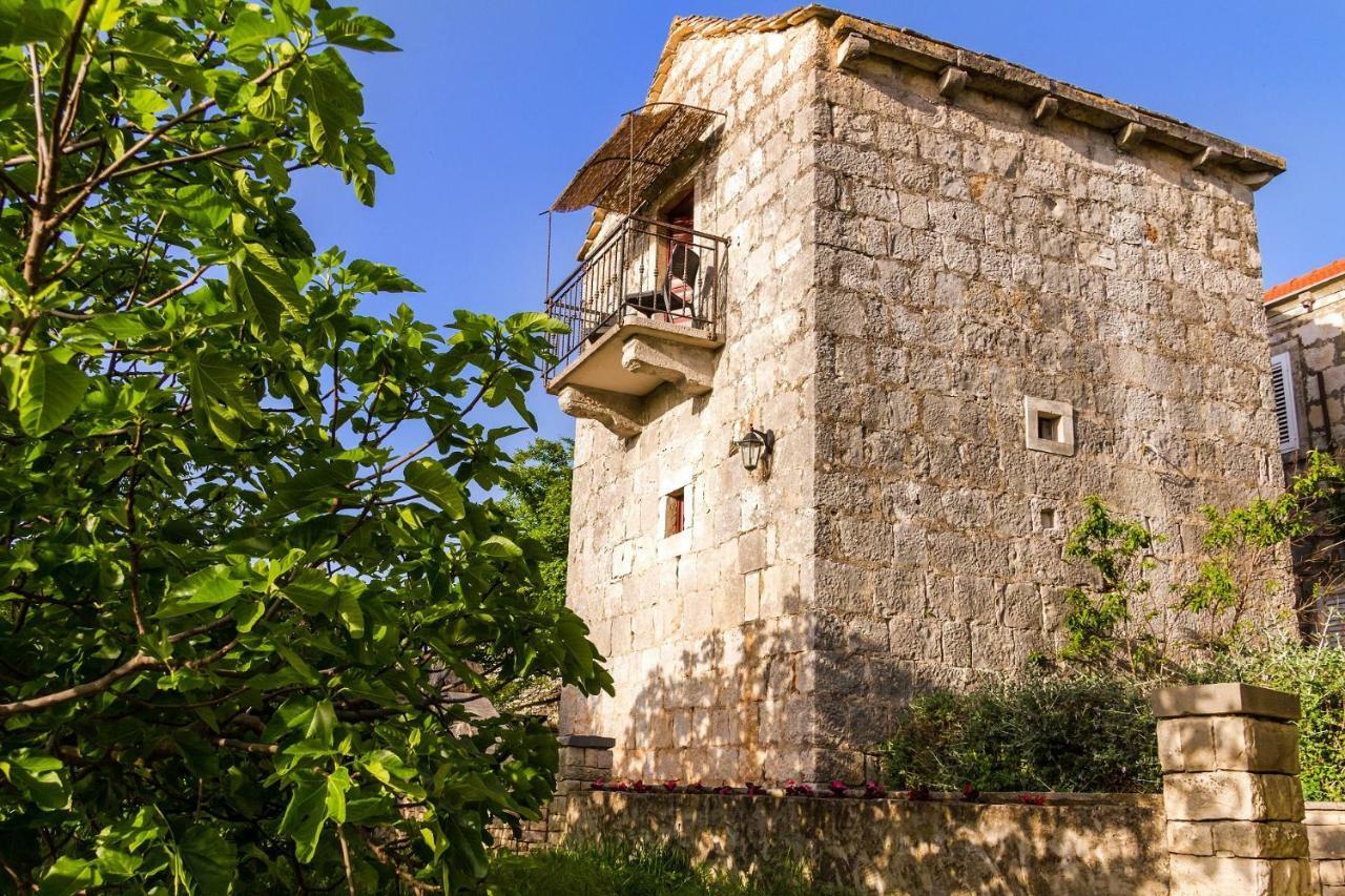 Old Small Stone House Zrnovo Extérieur photo