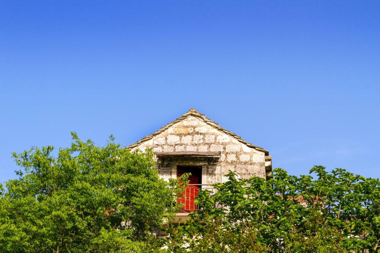 Old Small Stone House Zrnovo Extérieur photo
